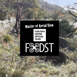 f-dst003